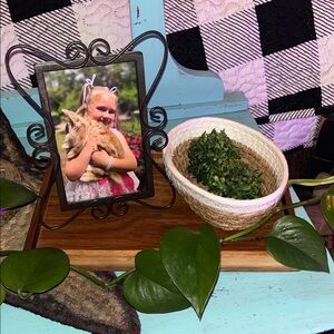 5 piece SET Decorative Plant and Photo Frame Set